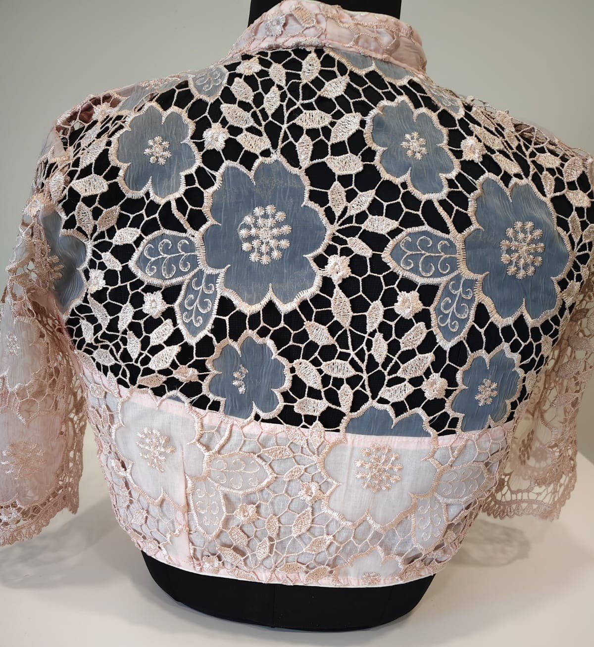 Baby Pink Organza Cutwork Blouse