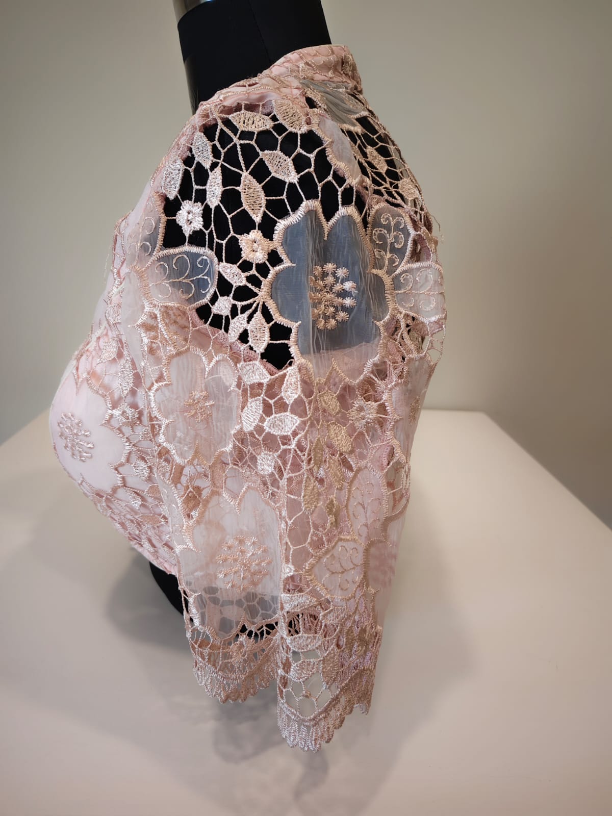 Baby Pink Organza Cutwork Blouse
