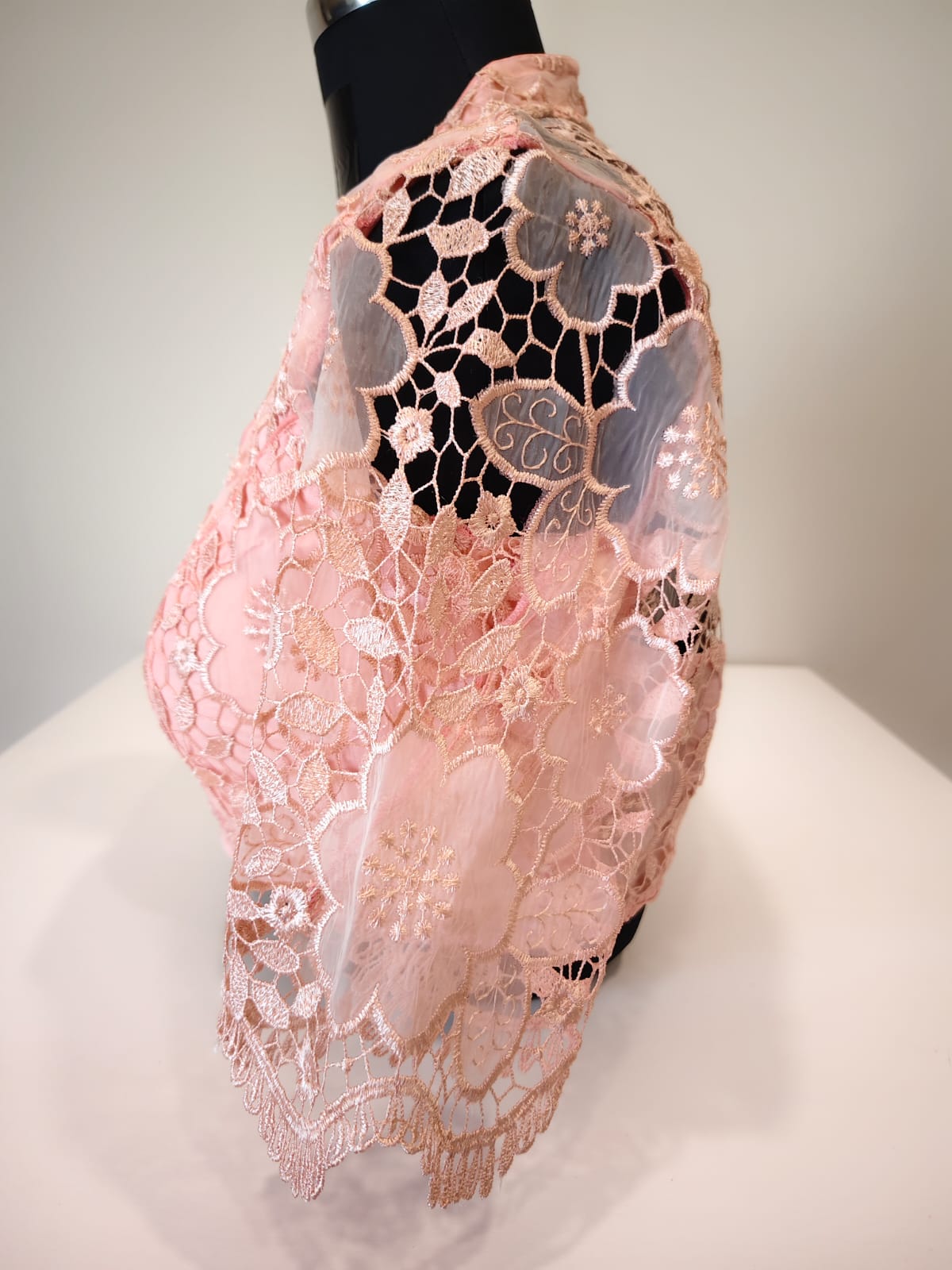 Peach Organza Cutwork Blouse